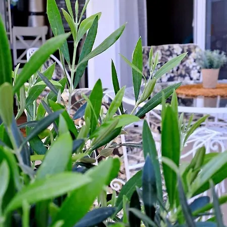 Olive House By The Apartment Artemida (Attica)